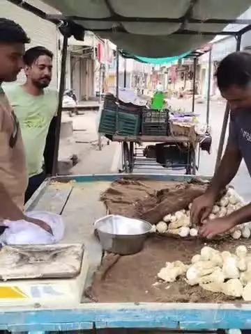 अनूपगढ़: अनूपगढ़ बाजार में पहुंची जैसलमेर की खुंबी, आवक कम होने से महंगी होकर 1000-1200 रुपये प्रति किलो बिक रही है