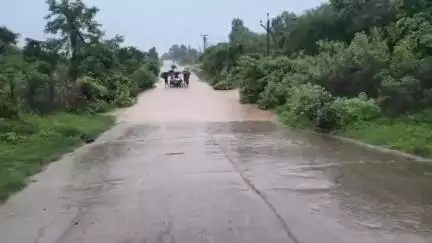 అసిఫాబాద్: దుబ్బగూడలో లోలెవల్ వంతెనపై వరద నీరు,రాకపోకలకు ఇబ్బందులు పడ్డ గ్రామస్థులు
