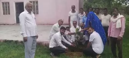 नांगलशेरपुर महात्मा गांधी विद्यालय में समाजसेवी ने किया वृक्षारोपण, भामाशाह ने भेंट किया वाटर कूलर