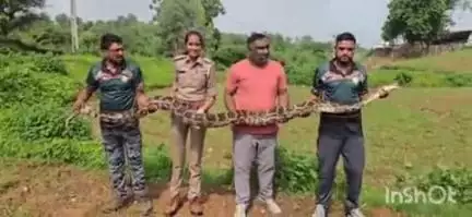 સંતરામપુર: ખેડાપા ગામેથી અજગરનું રેસ્ક્યુ કરવામાં આવ્યું
