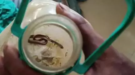 হরিহরপাড়া: নাজিরপুরে পাট কুড়াতে গিয়ে বিষধর সাপের ছোবল, একসঙ্গে হাসপাতালে নিয়ে আসা হল সাপে কাটা ছাত্র ও সাপ, চাঞ্চল্য এলাকায়