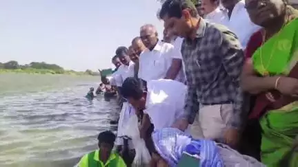 ஸ்ரீவைகுண்டம்: ஒரு இலட்சம் மீன்விரலிகள் இருப்பு செய்யும் பணி - தாமிரபரணி ஆற்றில் அமைச்சர் அனிதா ஆர்.ராதாகிருஷ்ணன் தொடங்கி வைத்தார்