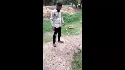 चित्तौड़गढ़: बस्सी में रसल वाइपर सांप का सुरक्षित रेस्क्यू किया गया, मौके पर मचा हड़कंप