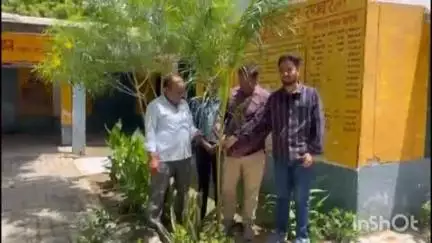 सलोन: खमहरिया पूरे कौशल कंपोजिट विद्यालय के शिक्षकों ने विद्यालय परिसर में वृक्षारोपण किया, छात्रों से वृक्षारोपण की अपील की