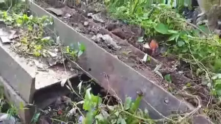 উত্তৰ লক্ষীমপুৰ: খেলমাটিত লোহা চুৰিৰ সন্দেহত চাৰি চোৰক ৰাইজে আটক কৰি গতালে আৰক্ষীক