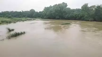 বোলপুর-শ্রীনিকেতন: অতিবৃষ্টির জেরে শান্তিনিকেতন গোয়ালপাড়া কোপাই নদীর জলোচ্ছ্বাস বাড়ছে।
