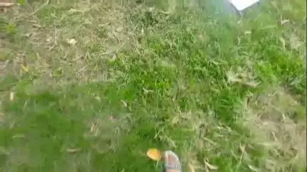 দিনহাটা ১: গুরু পূর্ণিমাতে হল রাসবিহারী ইউনিট দুর্গাপুজো কমিটির খুঁটিপুজো
