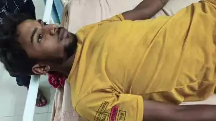 গাজোল: ইচাহার গ্রামে রাস্তা ধারে মোবাইলে গেম খেলার সময় বিষধর সাপের ছোবলে জখম যুবক