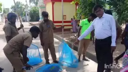 வாலாஜா: மேல்விசாரத்தில் வலைகள் மூலம் பிடிக்கப்பட்ட தெரு நாய்கள்- ரேபிஸ் தடுப்பூசி செலுத்தப்பட்டது