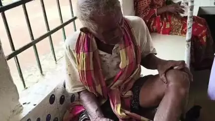 ସୁକିନ୍ଦା: କାଙ୍କଡ଼ପାଳ ଗ୍ରାମ ପାଖ ବିଲରେ ବିଷଧର ସାପ ଦଂଶନରେ ବୃଦ୍ଧ ଆହତ