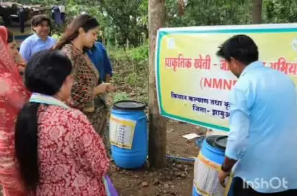 झाबुआ: कलेक्टर ने ग्राम खेड़ी में प्राकृतिक खेती कर रहे किसान के खेत का भ्रमण किया, किसान से चर्चा की
