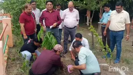 भोगांव: सामुदायिक स्वास्थ्य केंद्र भोगांव और जागीर पर किया गया वृक्षारोपण, CMO रहे उपस्थित