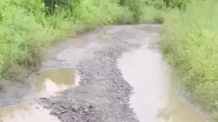 নওদা: চাঁদাবাদ থেকে ঘোড়ামারা বেহাল রাস্তায় ফুঁসে উঠলেন গ্রামবাসী,নওদায় ভোট মিটতেই উধাও জনপ্রতিনিধি #jansamasya