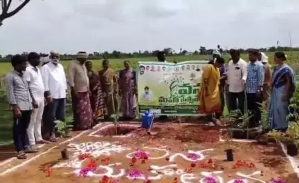 అలంపూర్: ఉప్పల క్యాంపు గ్రామంలో వన మహోత్సవ కార్యక్రమం నిర్వహణ