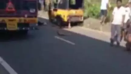 భీమిలి: శొoఠ్యాం సర్వీసు రహదారిలో ఆవు అడ్డురావడంతో ఆటు బోల్తా పడి, ఒకరు మృతి, ముగ్గురికి తీవ్ర గాయాలు
