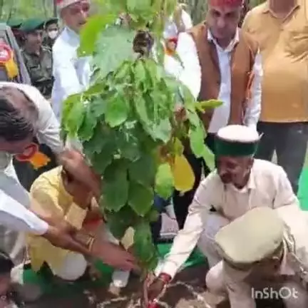 ढटवाल: बड़सर के कोहला जंगल में लगाए जाएंगे 400 औषधीय पौधे, वन महोत्सव पर कांग्रेस नेता सुभाष ढटवालिया ने पौधा लगाकर की शुरुआत