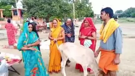 सुल्तानपुर: सुल्तानपुर जिले में गुरु पूर्णिमा के पर्व पर श्रद्धालुओं ने गोमती नदी में स्नान किया और दान पुण्य दिया