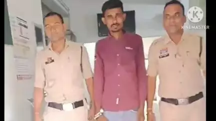 गंडई पुलिस की कार्रवाई में गंडई क्षेत्र से 40 पौवा देशी शराब जब्त, एक आरोपी गिरफ्तार