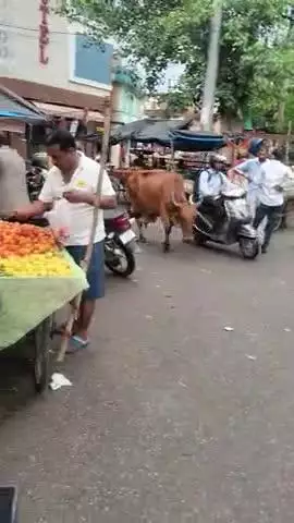 अशोका टॉकीज चोराए पर रेडी वालो ने किया अतिक्रमण आने जाने वालो को होता है परेशान प्रशसन धेयान नहीं देता है