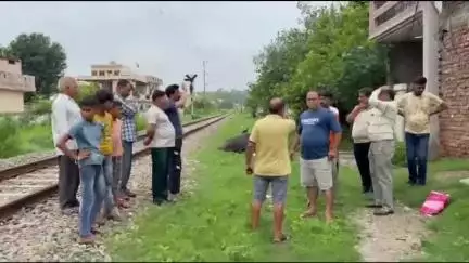 ਰੂਪਨਗਰ: ਨੰਗਲ ਦੀ ਜਵਾਹਰ ਮਾਰਕੀਟ ਨਜ਼ਦੀਕ ਰੇਲ ਗੱਡੀ ਦੀ ਲਪੇਟ ਵਿੱਚ ਆਣ ਕਾਰਨ ਦੋ ਸਾਨਾਂ ਦੀ ਹੋਈ ਮੌਤ ਇੱਕ ਗੰਭੀਰ ਜ਼ਖਮੀ
