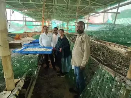 నిర్మల్: సారంగాపూర్ మండల్ తాండ్రలో పట్టు పురుగుల పెంపకం:జిల్లా ఉద్యాన, పట్టు పరిశ్రమ అధికారి బీ.వీ. రమణ పరిశీలించారు.