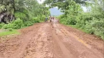 ପରଜଙ୍ଗ: ମଠକରଗୋଳା ଠାରୁ ମା ମଉଳାଭଣଜା ରାସ୍ତା ଶୋଚନୀୟ। ମରାମତି ପାଇଁ ଦାବୀ।#jansamasya