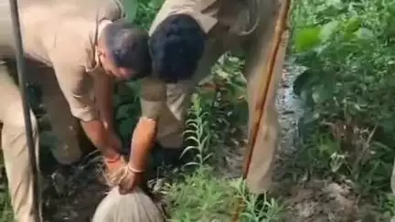 कसिया: कसया पुलिस और आबकारी विभाग ने कच्ची शराब की तीन भट्ठियों को तोड़ा, दो क्विंटल लहन किया नष्ट