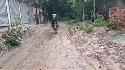 দেগঙ্গা: কালিয়ানী পূর্ব পাড়া থেকে পশ্চিমপাড়া পর্যন্ত বেহাল রাস্তা, সংস্কারের দাবি গ্রামবাসীদের #jansamasya
