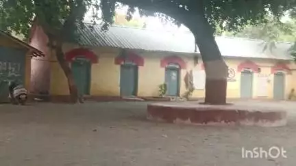खामगाव: आठवडी बाजारातील मोबाईल चोरीप्रकरणी आरोपीला शहर पोलिसांनी वाडी येथून केली अटक, आरोपीकडून एक देशी कट्टा व तीन मोबाईल जप्त