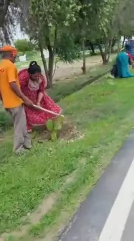आरेडिका में महाप्रबंधक प्रशान्त कुमार मिश्रा के मार्गदर्शन में तथापद्मश्री एवं अर्जुन अवॉर्डी एवं खेल अधिकारी श्रीमती सुधा सिंह के नेतृत्व में महिलाओं नेऑफिसर कॉलोनी में वृक्षारोपण कर सरकार के पर्यावरण संरक्षण के प्रयासों में दिया योगदान।