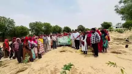 अनूपगढ़: अनूपगढ़ पंचायत समिति में हरियालो राजस्थान अभियान के तहत नगर पालिका ने लगाए 2000 पौधे