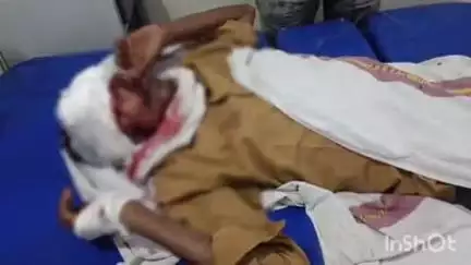 बांधवगढ़: ग्राम कौरंदा में बाइक चालक बैल से टकराया, गंभीर रूप से घायल, ज़िला अस्पताल में भर्ती