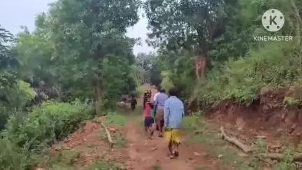 ଫୁଲବାଣୀ ସହର: ବାଡିଙ୍ଗିକୁଟି ନାଳରେ ବିପଦପୂର୍ଣ୍ଣ ଯାତାୟତ କରୁଛନ୍ତି  ଗ୍ରାମବାସୀ#jansamasya
