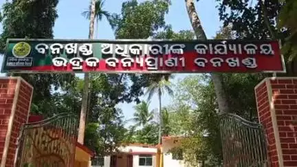 ଭଦ୍ରକ ଗ୍ରାମାଞ୍ଚଳ: ଚାନ୍ଦବାଲି ବୈତରଣୀ ନଦୀରେ ବିରାଟକାୟ କୁମ୍ଭୀରର ମୃତଦେହ ଠାବ