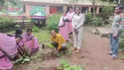 ନବରଙ୍ଗପୁର ପୋଲିସ ଷ୍ଟେସନ: କୋଷଗୁମୁଡା ଠାରେ ୭୬ ତମ ବନ ମହୋତ୍ସବ ପାଳିତ