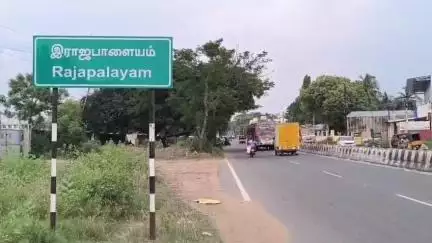 இராஜபாளையம்: சஞ்சீவ் மலையில் திடீரென தீ விபத்து வனத்துறையினர் தீயை அணைக்கும்  பணியில் ஈடுபட்டுள்ளனர்