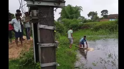 लोहरदगा: लावागांई गांव में बिजली के करंट से बैल की मौत