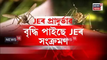 japanese encephalitis News। ৰাজ্যত বৃদ্ধি পাইছে জাপানীজ এনকেফেলাইটিছৰ প্ৰাদুৰ্ভাৱ। N18V