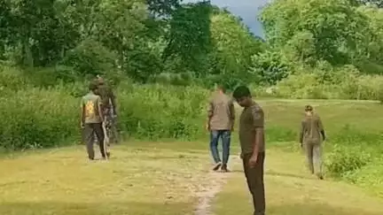 गौनहा: बाघ ने बकरियों पर किया हमला, ग्रामीणों में दहशत