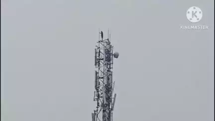 सवाई माधोपुर: सवाई माधोपुर रणथंभौर रोड पर एक युवक मोबाइल टावर पर चढ़ा, पुलिस ने समझाइश कर उतारा