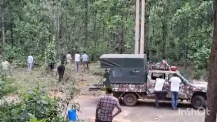 चाईबासा: सारंडा जंगल में आईईडी की चपेट में आने से घायल हाथी की इलाज के दौरान हुई मौत