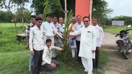 पचोर: गुरु पूर्णिमा पर पचोर क्षेत्र के सुल्तानिया में गुरु महाराज के बाग में पौधारोपण किया गया