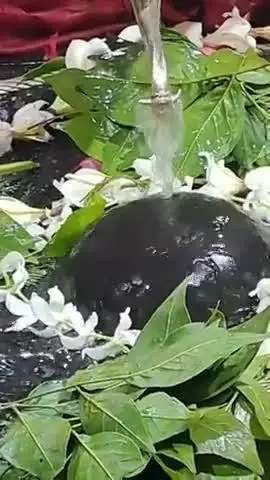 श्रावण महा की हार्दिक शुभकामनाएं🔱😍