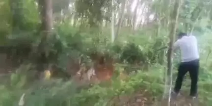 കുന്നത്തൂർ: പോരുവഴിയിൽ കാർഷിക വിളകൾ വ്യാപകമായി നശിപ്പിച്ച കാട്ടുപന്നിയെ വെടിവെച്ചു കൊന്നു