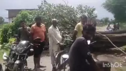 जैतपुर: जैतपुर के रसमोहनी में भारी भरकम पेड़ गिरने से गोहपारू-रसमोहनी मार्ग तीन घंटे तक रहा बंद