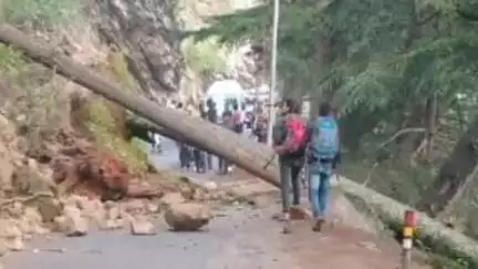 भटवाड़ी: हर्षिल के पास पेड़ गिरने के कारण अवरुद्ध हुआ राष्ट्रीय राजमार्ग यातायात के लिए हुआ बहाल