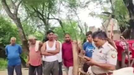 चकरनगर: चंद्रहंसपुरा गांव में तेंदुए ने जमुनापारी नस्ल की बकरी का किया शिकार