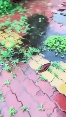 पहले मौनसून का पानी बह जाता था, आज वही पानी संचित हो रहा है।यह बदलाव माननीय प्रधानमंत्री श्री नरेंद्रभाई मोदी सर के दूरदर्शी नेतृत्व और प्रेरणादायी मार्गदर्शन का परिणाम है।

आज जब देश भर में मौनसून के मौसम में जल संचयन होते हुए देखता हूँ, त