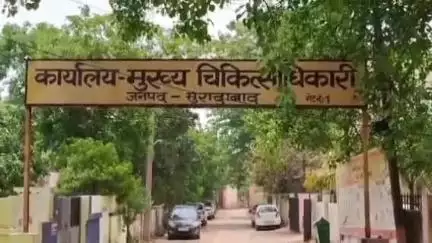 मुरादाबाद: मुरादाबाद में बेहोशी के सबसे महंगे डॉक्टरों की बोली लगाकर तैनाती, 8 डॉक्टर हुए शामिल