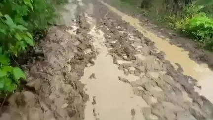 डिंडौरी: संग्रामपुर से ररिया टोला तक सड़क मार्ग बदहाल स्कूली बच्चों और गर्भवती महिलाओं को आवागमन में हो रही परेशानी #jansamasya